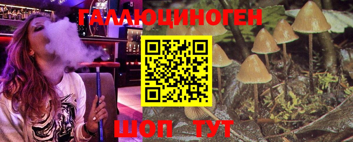Псилоцибиновые грибы GOLDEN TEACHER Нововоронеж
