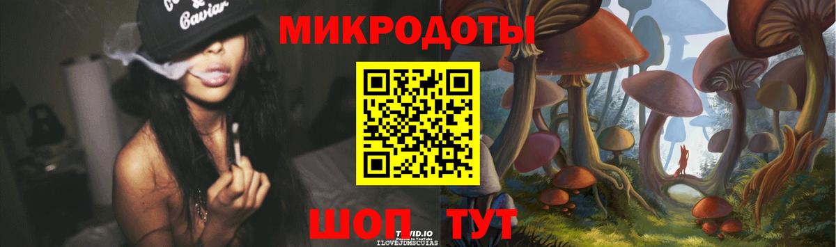 Нововоронеж  Псилоцибиновые грибы Psilocybine cubensis  Вход с VPN 